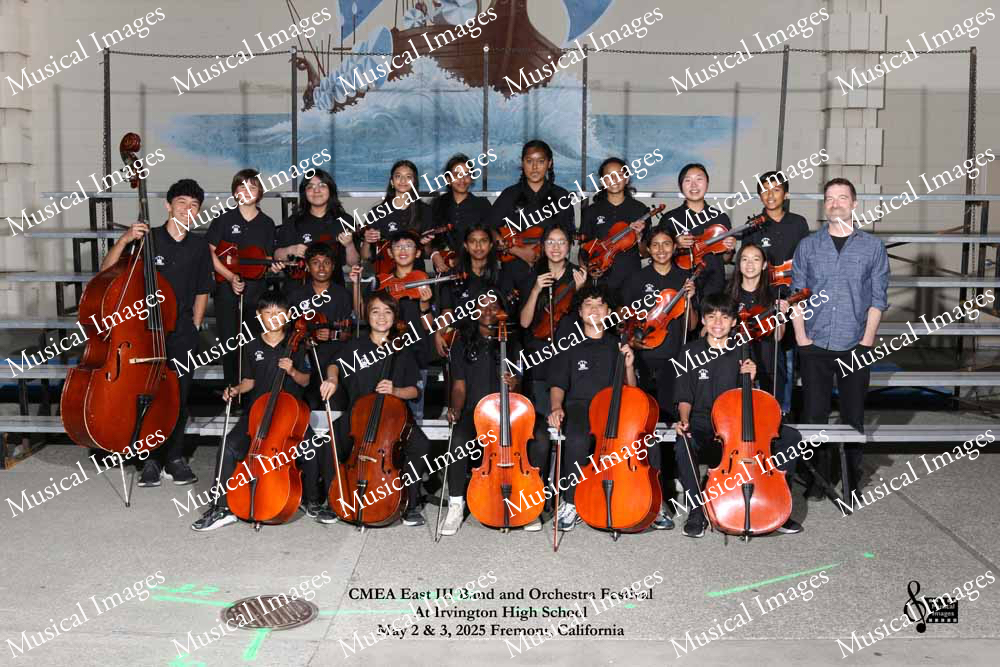 Musical Images